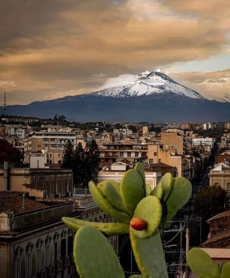 Catania Apartment Borgo Suite Autonomous Εξωτερικό φωτογραφία